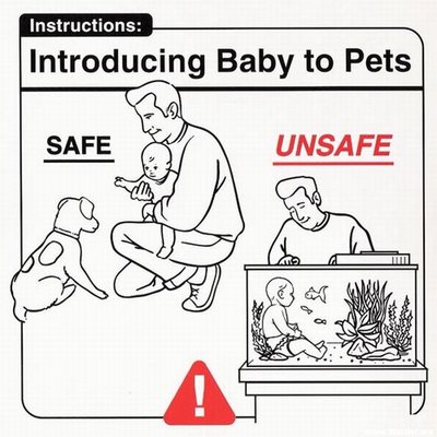 Instrucciones: “Introducing Baby to Pets”