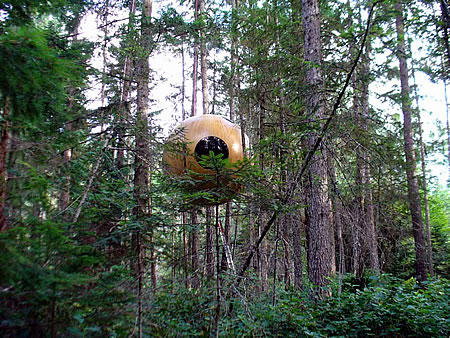 Casas esféricas para los árboles